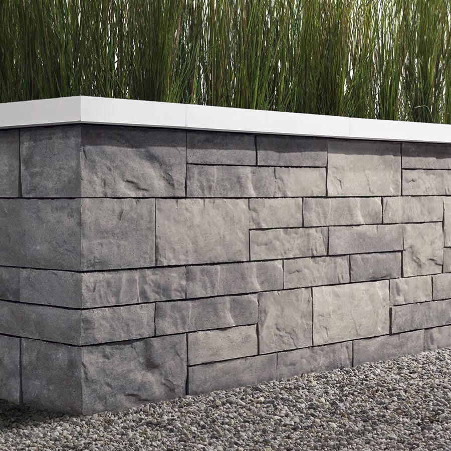 BRANDON WALL